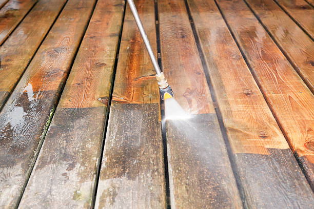Best Pressure Washing Driveway  in Portage, MI