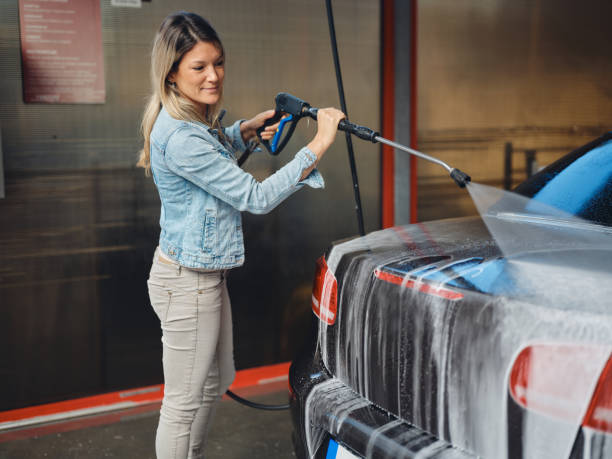 Best Roof Power Washing Services  in Portage, MI