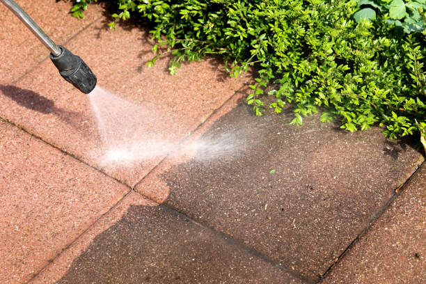 Best Residential Pressure Washing Services  in Portage, MI
